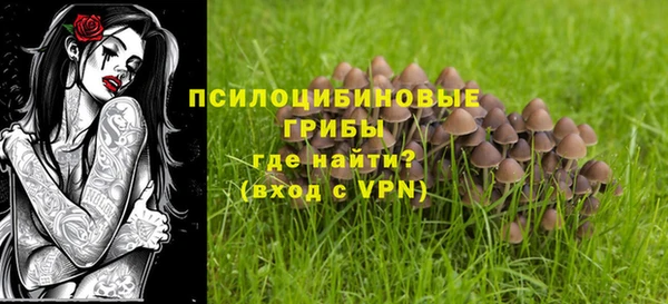 дмт Верхний Тагил