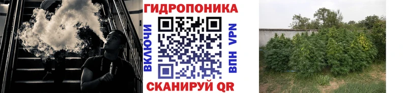Бошки Шишки гибрид Георгиевск